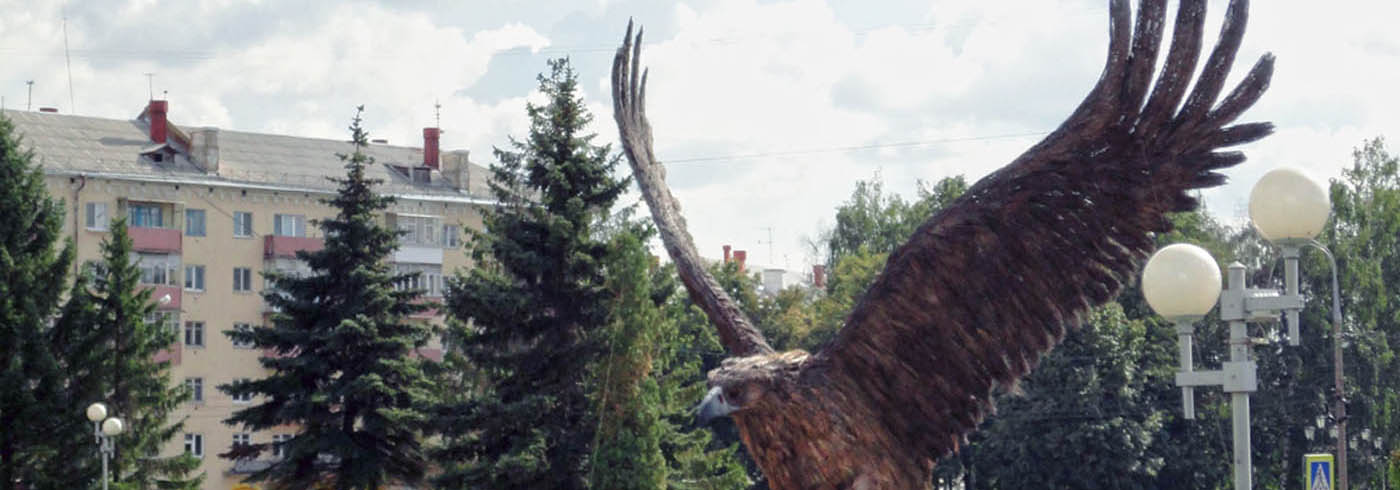 Карта Орёл